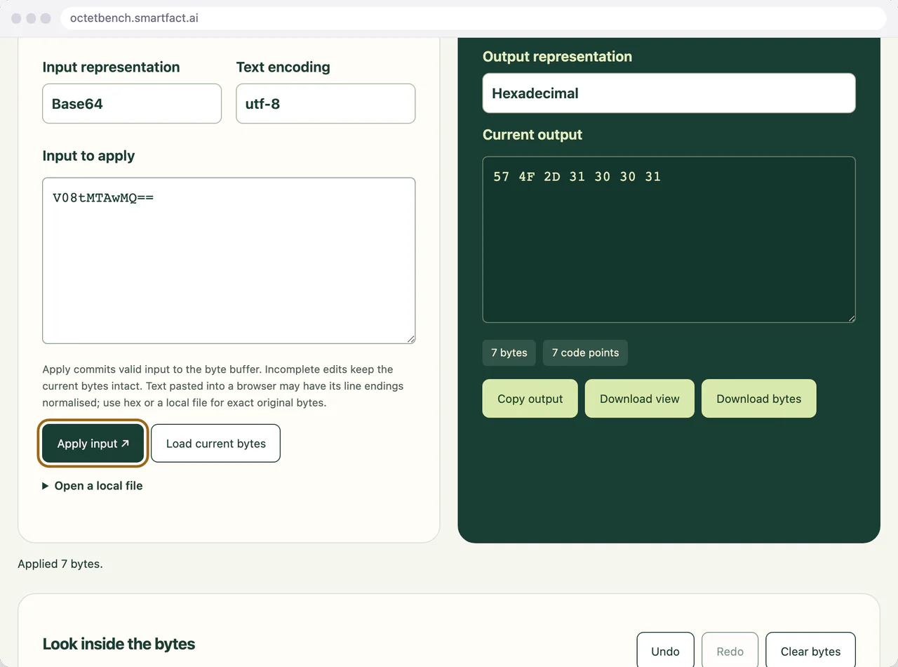 Decoded bytes loaded from the Base64 input.