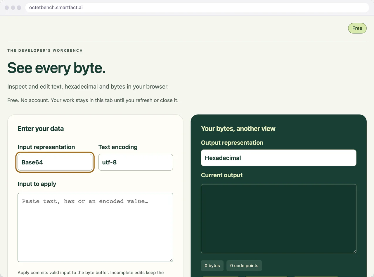 Base64 chosen as the input representation.
